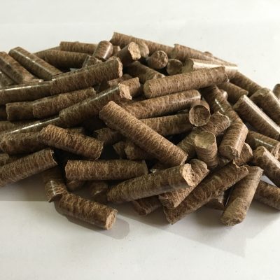 LADİN - GÖKNAR